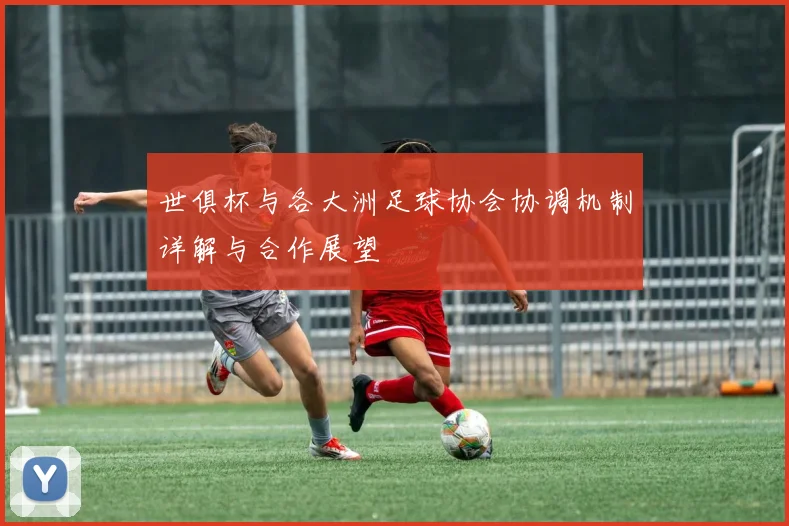世俱杯与各大洲足球协会协调机制详解与合作展望
