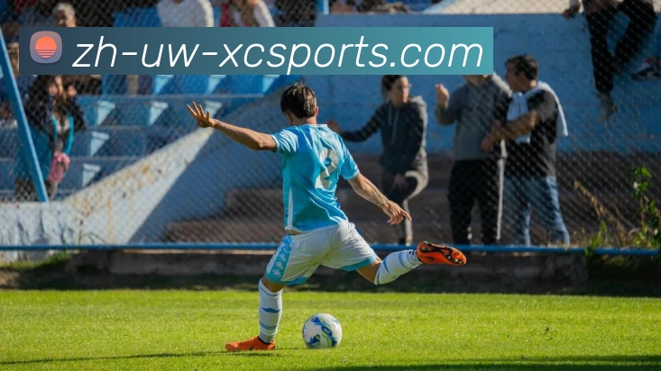 App Interface Preview