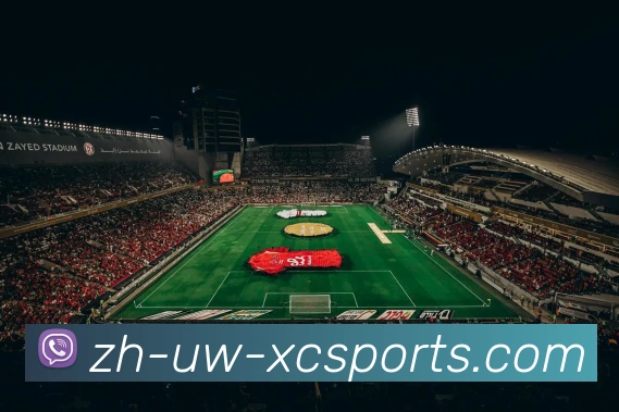 杏彩体育APP 封面图